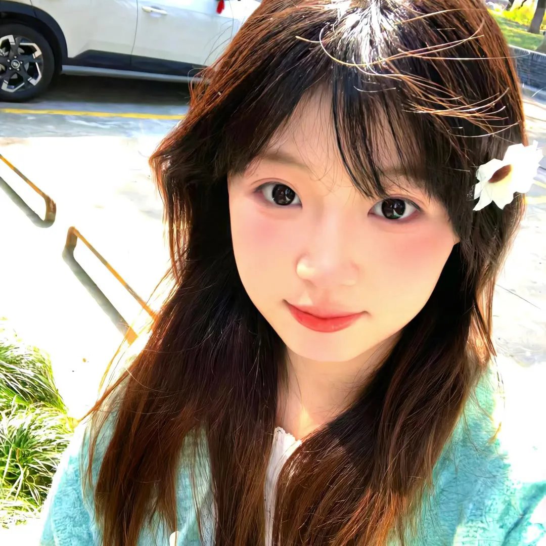 成凰录 在线观看